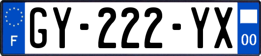 GY-222-YX