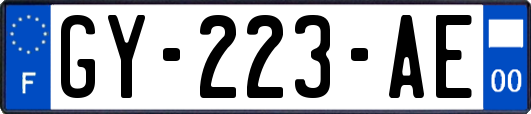 GY-223-AE