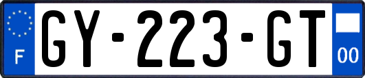 GY-223-GT