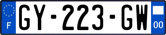 GY-223-GW