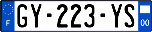 GY-223-YS