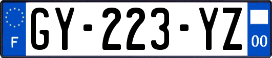 GY-223-YZ