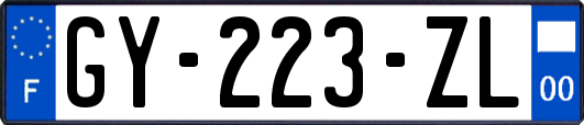 GY-223-ZL