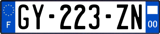 GY-223-ZN