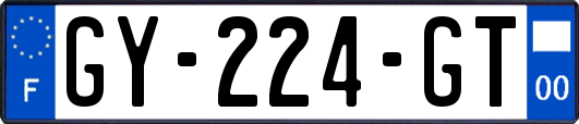 GY-224-GT