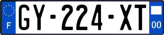 GY-224-XT