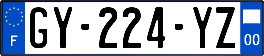 GY-224-YZ