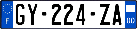 GY-224-ZA