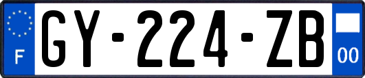 GY-224-ZB
