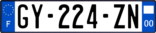 GY-224-ZN
