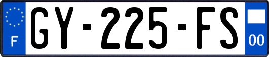 GY-225-FS