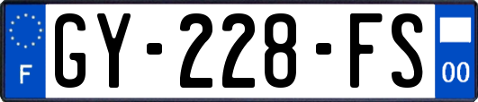 GY-228-FS