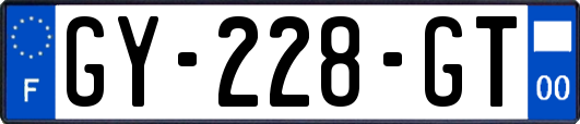 GY-228-GT