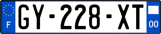 GY-228-XT