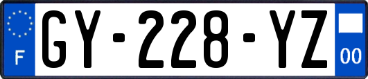 GY-228-YZ