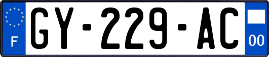 GY-229-AC
