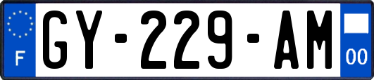 GY-229-AM