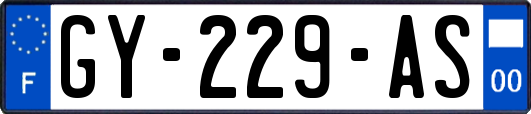 GY-229-AS