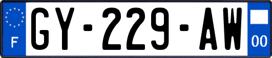 GY-229-AW