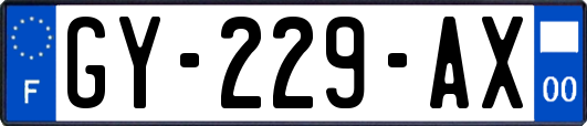 GY-229-AX