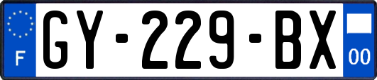 GY-229-BX