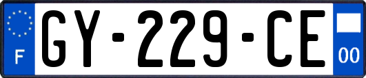 GY-229-CE