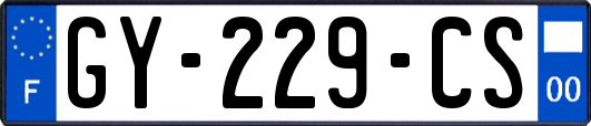 GY-229-CS