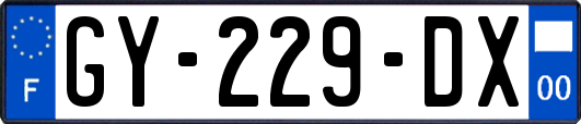 GY-229-DX
