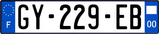 GY-229-EB