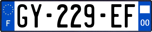 GY-229-EF