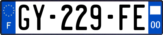 GY-229-FE