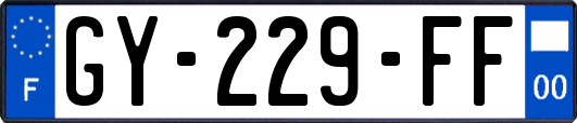 GY-229-FF