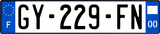 GY-229-FN