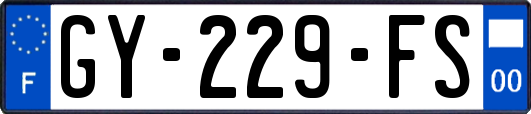 GY-229-FS