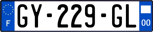 GY-229-GL