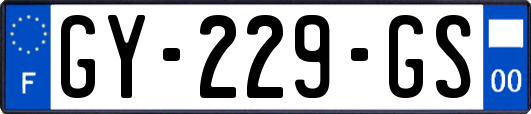 GY-229-GS