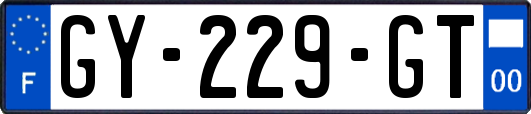 GY-229-GT