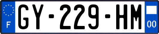 GY-229-HM