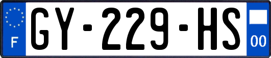 GY-229-HS