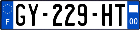 GY-229-HT
