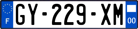 GY-229-XM