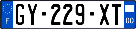 GY-229-XT