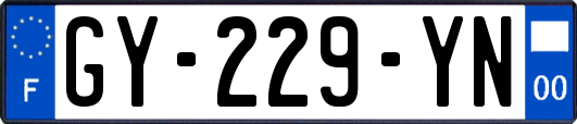 GY-229-YN