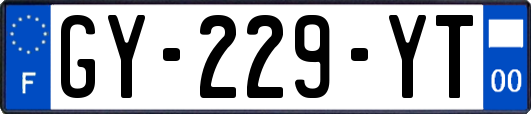 GY-229-YT