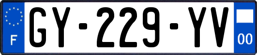 GY-229-YV
