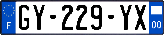 GY-229-YX