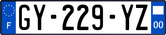GY-229-YZ