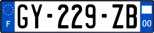 GY-229-ZB