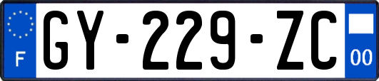 GY-229-ZC