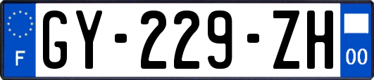GY-229-ZH
